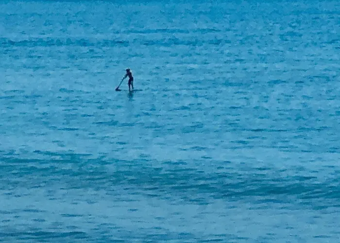 Marbella House 펜션 *